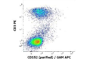 Flow cytometry multicolor surface staining of human PHA stimulated lymphocytes stained using anti-human CD152 (BNI3) purified antibody (concentration in sample 10 μg/mL, GAM APC) and anti-human CD3 (UCHT1) PE antibody (20 μL reagent / 100 μL of peripheral whole blood). (CTLA4 antibody)