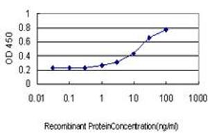 Detection limit for recombinant GST tagged IGSF6 is approximately 1ng/ml as a capture antibody. (IGSF6 antibody  (AA 29-241))