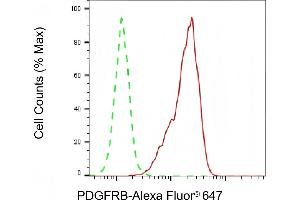 anti-Platelet Derived Growth Factor Receptor beta (PDGFRB) antibody