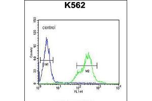 Flow cytometric analysis of K562 cells (right histogram) compared to a negative control cell (left histogram).
