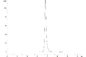 The purity of Cynomolgus M-CSF R is greater than 95 % as determined by SEC-HPLC. (CSF1R Protein (AA 99-596) (His tag))