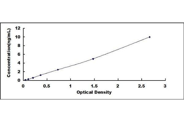 DNMT3L ELISA Kit