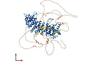 Protein Structure (PS) image for SAPS Domain Family, Member 2 (SAPS2) (AA 1-923) protein (His tag) (ABIN7564705)