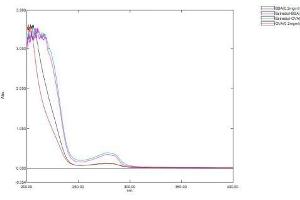 Mass Spec of Protein Standard from the Kit (E2). (Estradiol ELISA Kit)