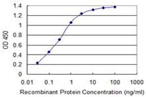 Detection limit for recombinant GST tagged PSMC3 is 0. (PSMC3 antibody  (AA 53-152))