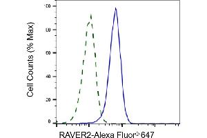 Validation of RAVER2 knockdown using flow cytometry.