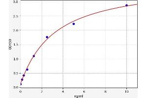 Chemokine (C-X-C Motif) Receptor 3 (CXCR3) ELISA Kit