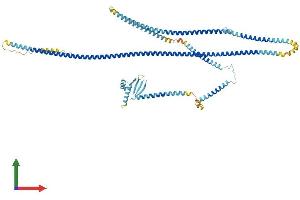 AlphaFold protein structure predicition of Human Recombinant MAD1L1 Protein, UniprotID Q9Y6D9