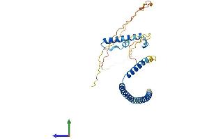 AlphaFold protein structure predicition of Human Recombinant HEXIM2 Protein, UniprotID Q96MH2 (HEXIM2 Protein (AA 1-286) (His tag))