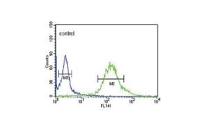 GTSE1 Antibody (C-term) (ABIN653838 and ABIN2843102) flow cytometric analysis of Hela cells (right histogram) compared to a negative control cell (left histogram). (GTSE1 antibody  (C-Term))