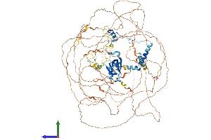 AlphaFold protein structure predicition of Human Recombinant ATXN2L Protein, UniprotID Q8WWM7