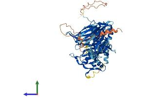 AlphaFold protein structure predicition of Human Recombinant ACOT11 Protein, UniprotID Q8WXI4