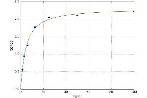A typical standard curve