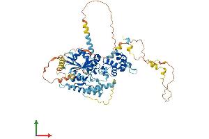 AlphaFold protein structure predicition of Mouse Recombinant Lsg1 Protein, UniprotID Q3UM18