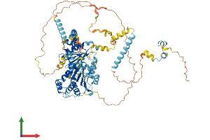 AlphaFold protein structure predicition of Mouse Recombinant Ddx27 Protein, UniprotID Q921N6 (DDX27 Protein (AA 1-760) (His tag))