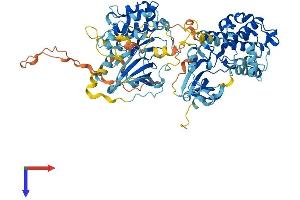 AlphaFold protein structure predicition of Mouse Recombinant Rps6ka1 Protein, UniprotID P18653 (RPS6KA1 Protein (AA 1-724) (His tag))