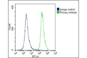Flow Cytometry (FACS) image for anti-Epidermal Growth Factor Receptor Pathway Substrate 8 (EPS8) (AA 9-39), (N-Term) antibody (ABIN392773)