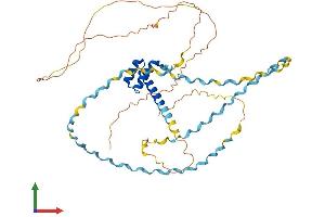 AlphaFold protein structure predicition of Human Recombinant ESX1 Protein, UniprotID Q8N693 (ESX Homeobox 1 Protein (ESX1) (AA 1-406) (His tag))