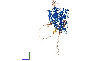 AlphaFold protein structure predicition of Mouse Recombinant Mief1 Protein, UniprotID Q8BGV8