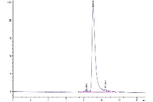 The purity of SARS-Cov-2 Spike RBD (Omicron BA. (SARS-CoV-2 Spike Protein (BA.2.12.1 - Omicron, RBD) (His tag))