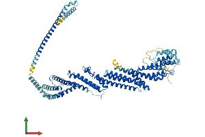 AlphaFold protein structure predicition of Mouse Recombinant Exoc3 Protein, UniprotID Q6KAR6 (EXOC3 Protein (AA 1-755) (His tag))