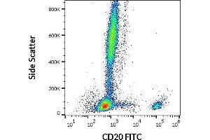 Flow cytometry surface staining pattern of human peripheral whole blood stained using anti-human CD20 (2H7) FITC antibody (20 μL reagent / 100 μL of peripheral whole blood). (CD20 antibody  (FITC))