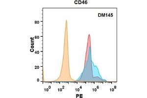 CD46 protein is highly expressed on the surface of Expi293 cell membrane. (CD46 antibody  (AA 35-328))