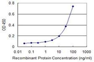 Detection limit for recombinant GST tagged PTPN22 is 1 ng/ml as a capture antibody. (PTPN22 antibody  (AA 1-179))
