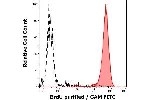 Separation of human BrdU positive cells (red-filled) from cellular debris (black-dashed) in flow cytometry analysis (intracellular staining) of BrdU incorporated K562 cells stained using anti-BrdU (Bu20a) purified antibody (concentration in sample 4 μg/mL, GAM FITC). (BrdU antibody)