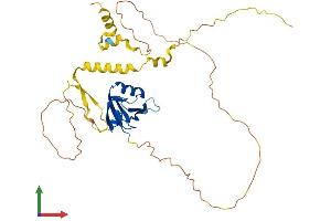 AlphaFold protein structure predicition of Human Recombinant MAGIX Protein, UniprotID Q9H6Y5 (MAGIX Protein (AA 1-334) (His tag))