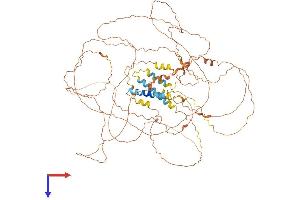 AlphaFold protein structure predicition of Mouse Recombinant Perm1 Protein, UniprotID Q149B8 (C1ORF170 Protein (AA 1-807) (His tag))