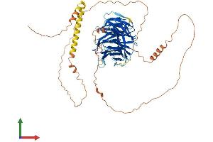 Protein Structure (PS) image for Transducin-Like Enhancer of Split 6 (TLE6) (AA 1-581) protein (His tag) (ABIN7556314)