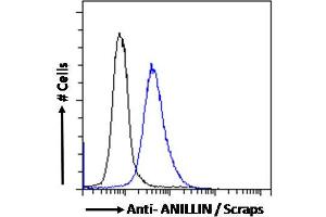 ABIN185086 Flow cytometric analysis of paraformaldehyde fixed MCF7 cells (blue line), permeabilized with 0. (Anillin antibody  (C-Term))