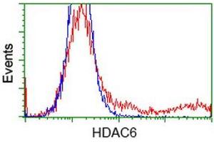 HEK293T cells transfected with either RC209649 overexpress plasmid (Red) or empty vector control plasmid (Blue) were immunostained by anti-HDAC6 antibody (ABIN2454079), and then analyzed by flow cytometry. (HDAC6 antibody)
