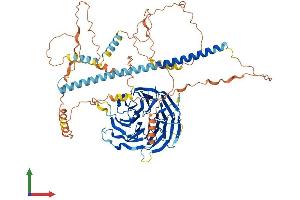 AlphaFold protein structure predicition of Mouse Recombinant Strn4 Protein, UniprotID P58404