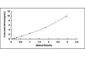 Tumor Necrosis Factor (Ligand) Superfamily, Member 11 (TNFSF11) ELISA Kit