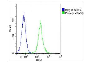 Overlay histogram showing Jurkat cells stained with A(green line). (CD14 antibody  (N-Term))