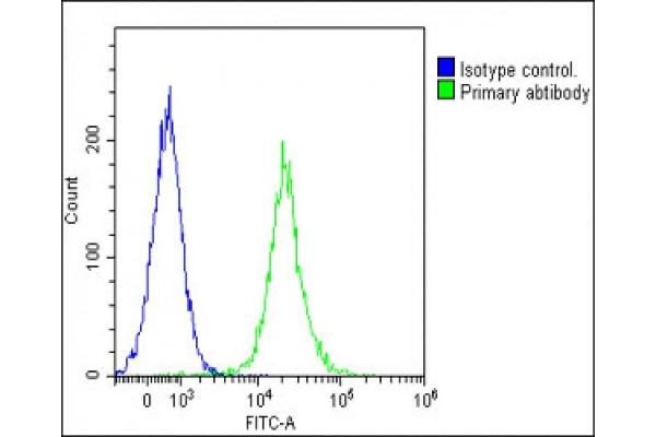 CD14 antibody  (N-Term)