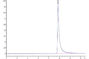 Size-exclusion chromatography-High Pressure Liquid Chromatography (SEC-HPLC) image for Chemokine (C-C Motif) Ligand 2 (CCL2) (AA 24-99) protein (His tag) (ABIN7275239)