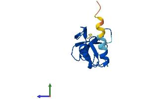 AlphaFold protein structure predicition of Mouse Recombinant Cdpf1 Protein, UniprotID Q8R3A2 (CDPF1 Protein (AA 1-119) (His tag))