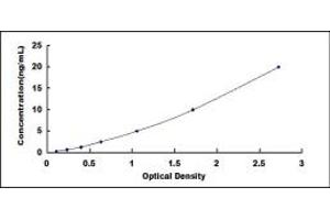 Typical standard curve (CD5L ELISA Kit)