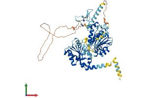 AlphaFold protein structure predicition of Human Recombinant DDX59 Protein, UniprotID Q5T1V6 (DDX59 Protein (AA 1-619) (His tag))