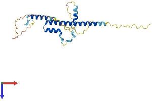 Family with Sequence Similarity 204, Member A (FAM204A) (AA 1-233) protein (His tag)