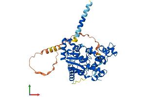 AlphaFold protein structure predicition of Human Recombinant CHST12 Protein, UniprotID Q9NRB3