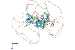 AlphaFold protein structure predicition of Mouse Recombinant Magee1 Protein, UniprotID Q6PCZ4 (MAGEE1 Protein (AA 1-918) (His tag))