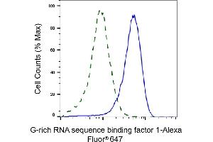 Validation of G-rich RNA sequence binding factor 1 knockdown using flow cytometry.