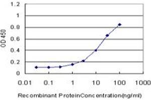 Detection limit for recombinant GST tagged MAML2 is approximately 1ng/ml as a capture antibody. (MAML2 antibody  (AA 796-894))