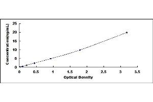 beta Defensin 1 ELISA Kit