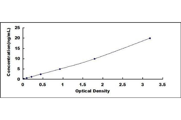 beta Defensin 1 ELISA Kit