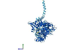 AlphaFold protein structure predicition of Mouse Recombinant Slc27a2 Protein, UniprotID O35488 (SLC27A2 Protein (AA 1-620) (His tag))